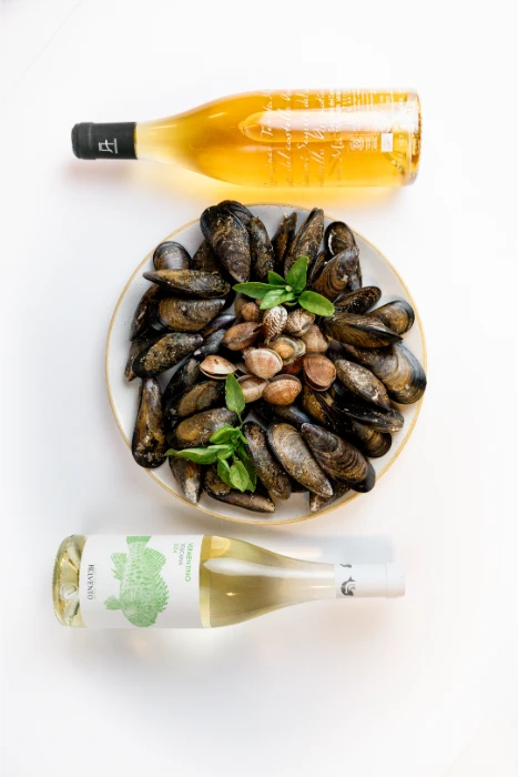 foto carosello fornacino ristorante digitale